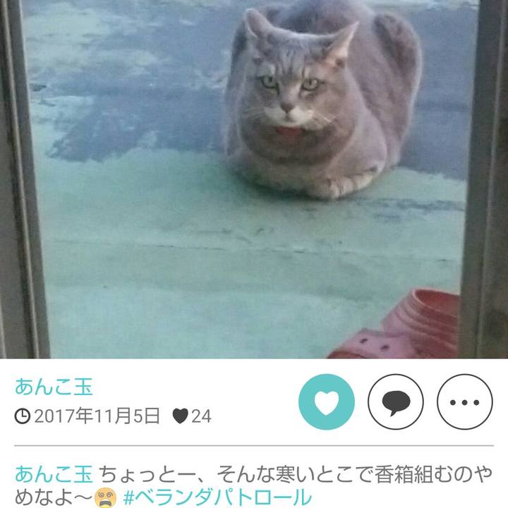 474d5b61 6f87 4195 bada 1824e2075a48 1699393856860