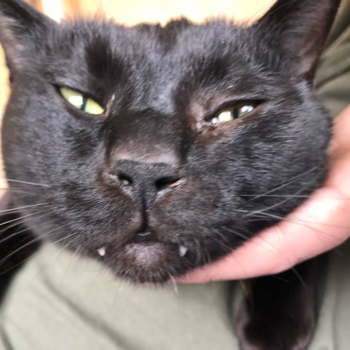 474d5ed8 bdff 40c7 bd4f 64df5e820f26 1679797468962