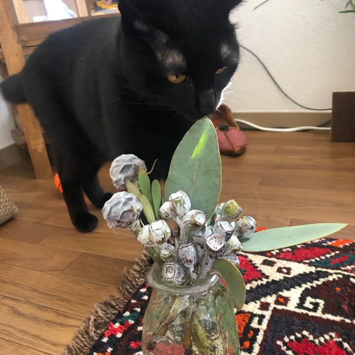 474d79fe 8258 469d a8c8 66e6fc87098e 1633395653909