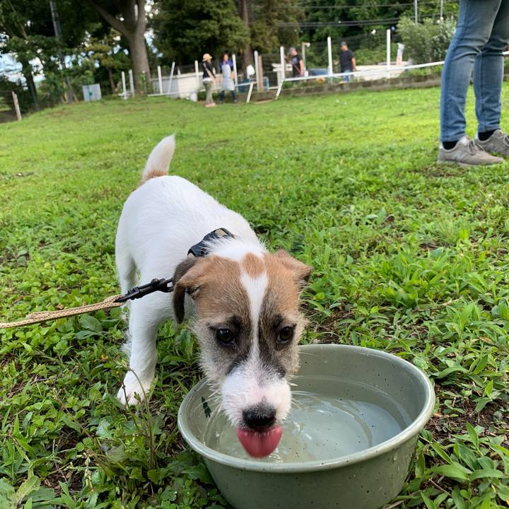 474d9bd9 17e6 42d7 920f 52dfc51a1f42 1560669909220