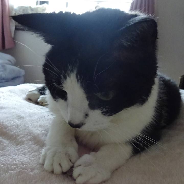 474da50e 4961 40f5 87fe f956d1520719 1509107452703