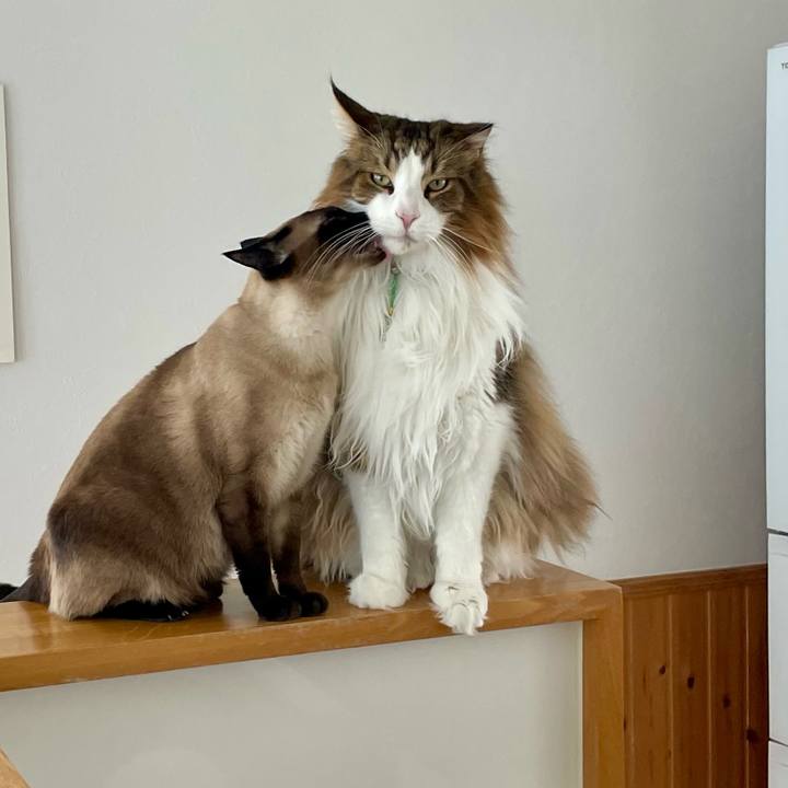 474daa65 6167 4836 b52d 992f4cdf2f28 1750195931636