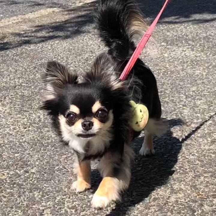 474dfdb9 1d79 4949 b810 44c5fad9971b 1593564401816