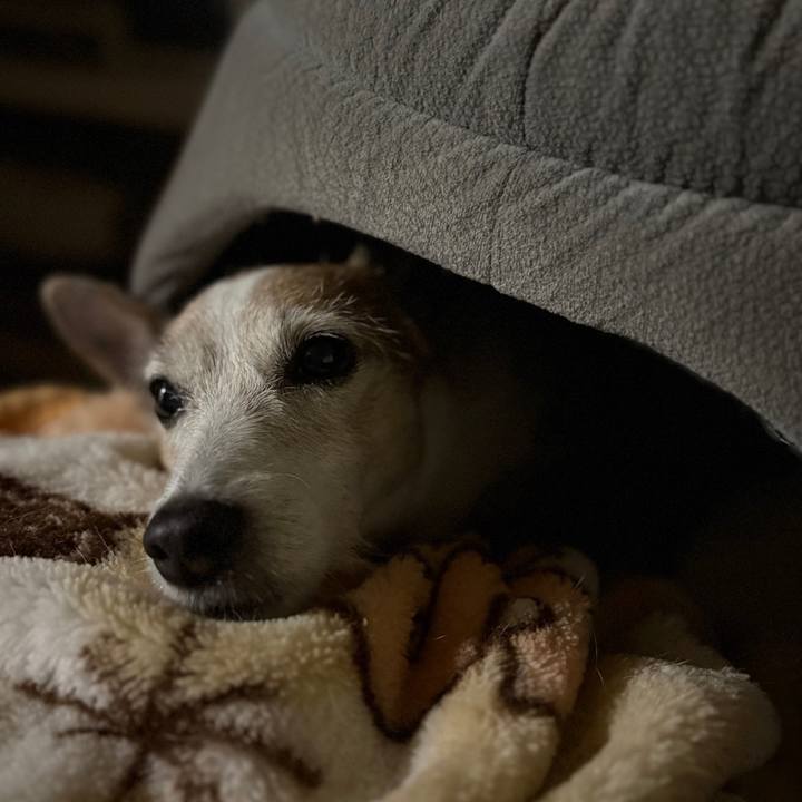 474e097d 8ec0 4e51 a8bc 662091814f05 1761953112661