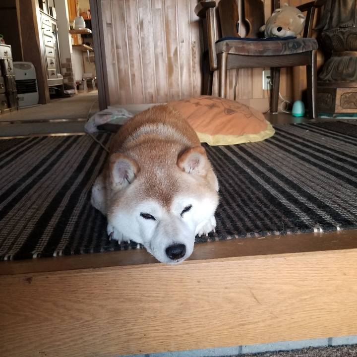 474e75ea 8f9a 4889 83bf 259cbe1fc535 1693006976155