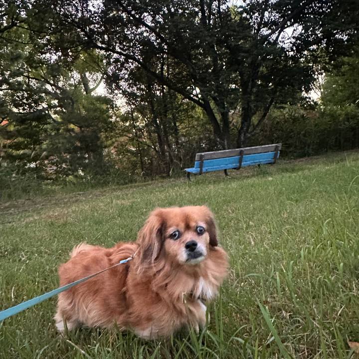 474e7c0c 2e3c 4807 890d f99021dd03ce 1762550001132