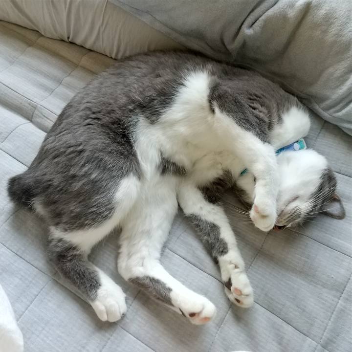 474e8123 13e8 49b8 a6b2 f47fd33b0192 1620300490414