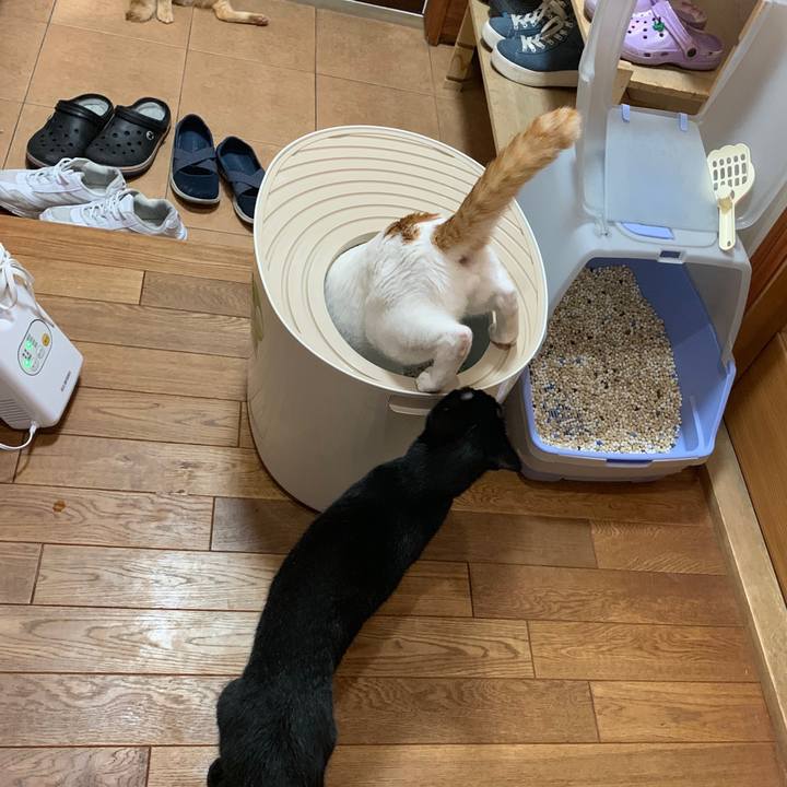 474e86ee 5a79 4e28 b8e8 3b6fa6ff6be7 1562761378517