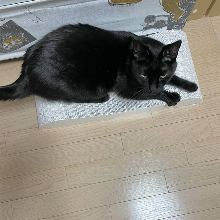 474ee7ff 0df7 41dc a5fc fa6c5ee16a14 1647435335019