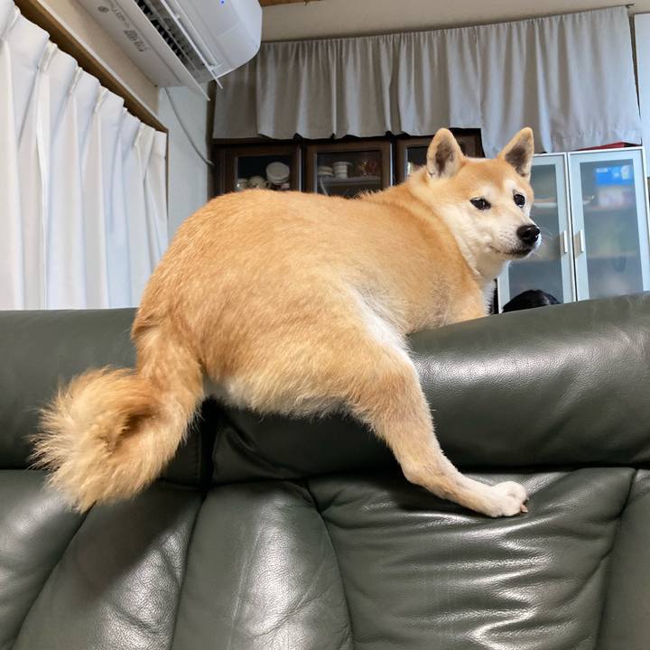 474f00a3 87e6 4337 8fcd b18ec4325488 1638791366339