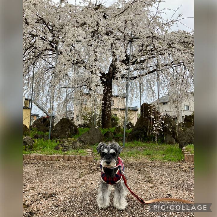 474f1e97 664e 42be b1ba 1a220966f487 1744896582114