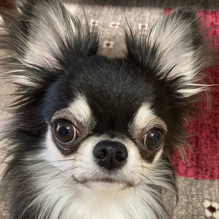 474f1ebf 2f56 4602 90e3 178e35d983f9 1616195112139