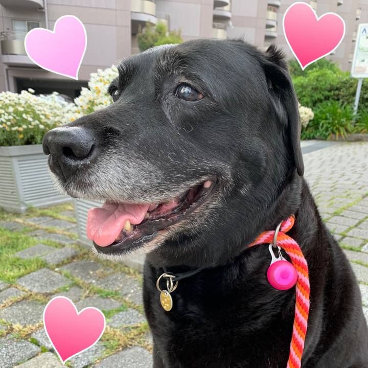 474f31c2 3608 4aec 84bf 5131fd6efd10 1590976480093