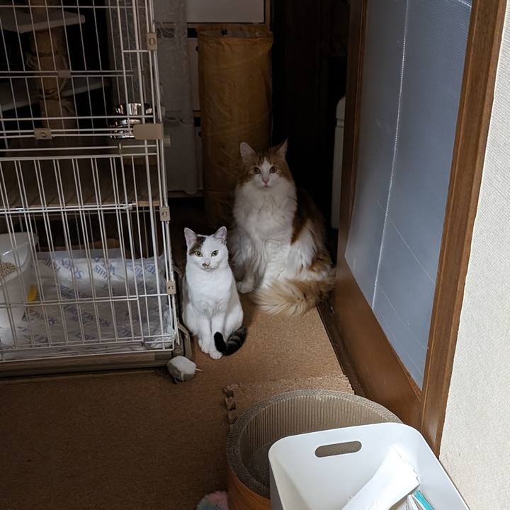 474f4d3c 3c66 4ff6 b1ce 819eeb66c236 1701830882398