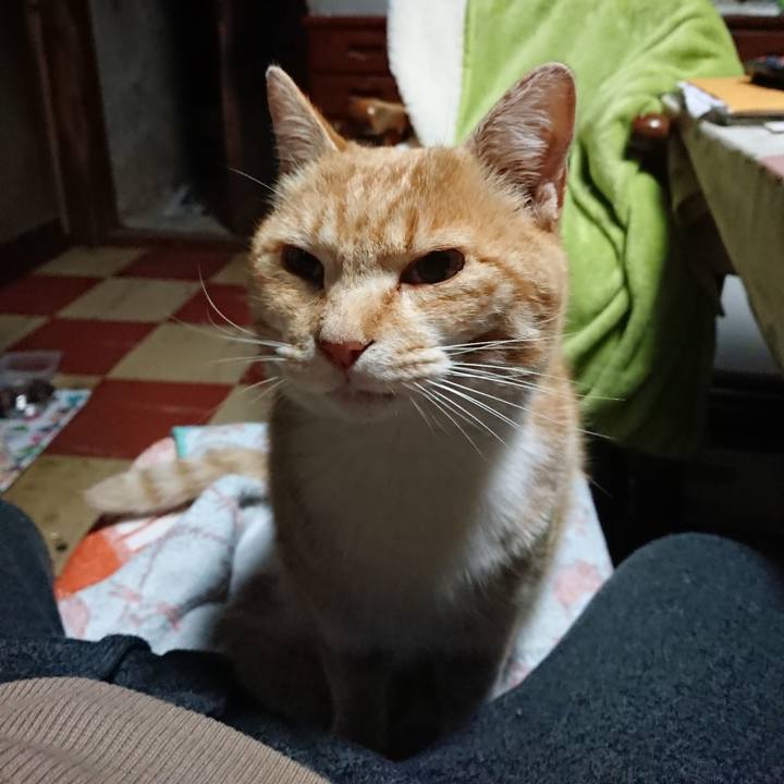 474f6cdc 6367 44c1 a6a9 8b3476861320 1586893786623