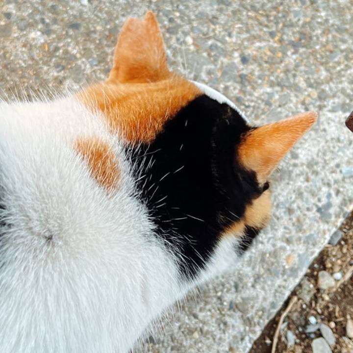 474f7f2a d5da 4fde a533 ea27fecf70d7 1639972151983