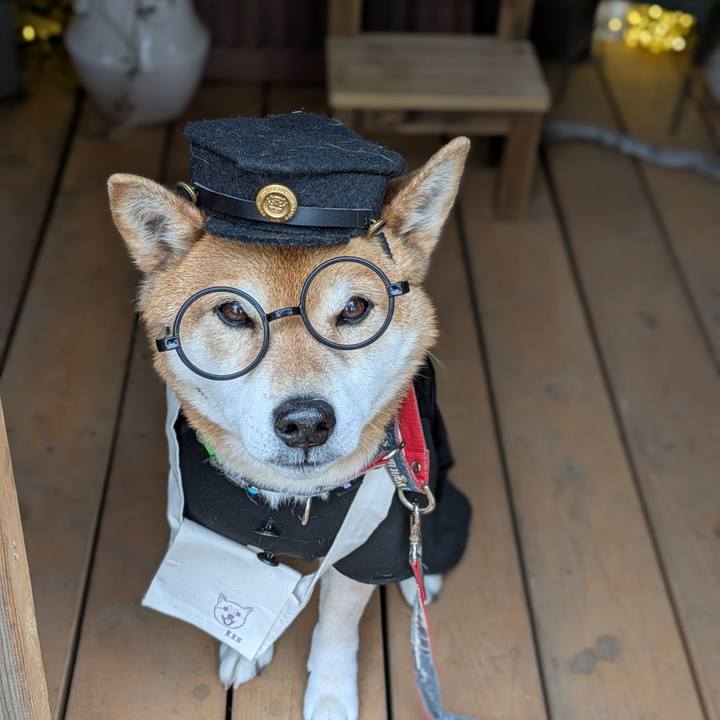 474f8e7a 85f0 41d6 879f 39f3dd8fcf8d 1741588507910