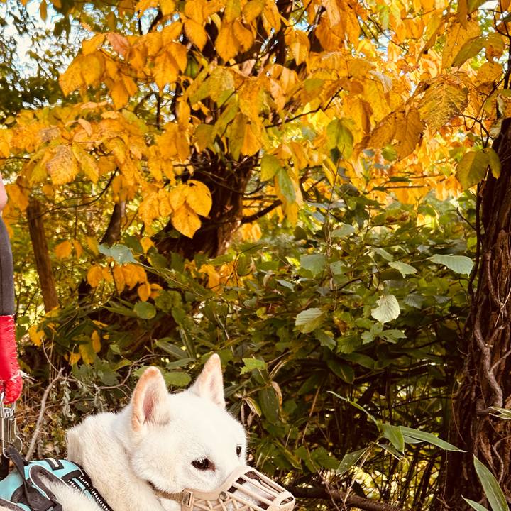 474f8f26 b833 42d3 9ed2 7c5163a7c27b 1697322093928