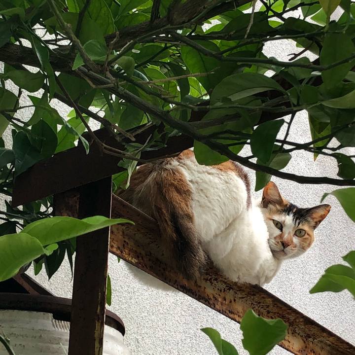 474f96ff 791e 463a beee 8eb689dce96f 1527777117914