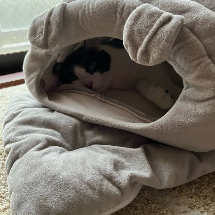 474fe722 02f9 4178 813e cd68d81c898e 1728906176889