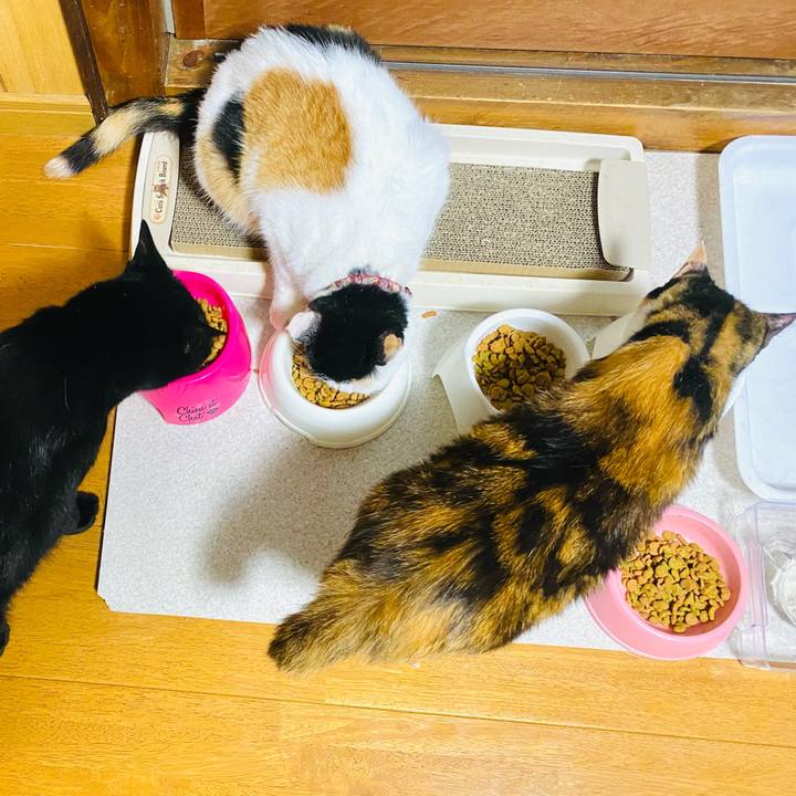 47507ce2 cfde 4d47 89fc af687b42a09b 1659824033012