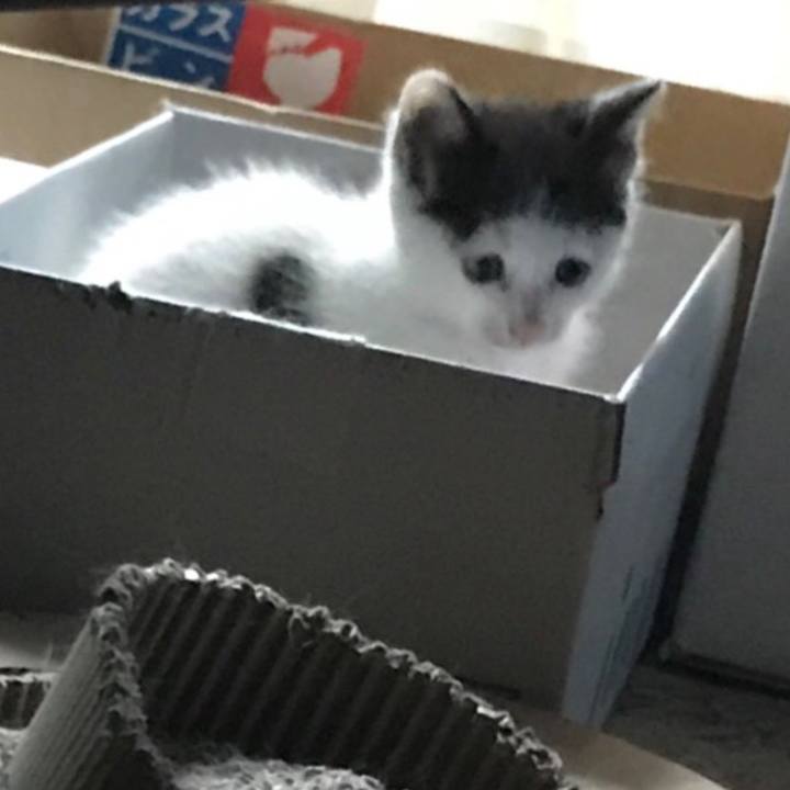 47508758 205e 4dc2 a5fb cab8ecf2a4c5 1529237367976