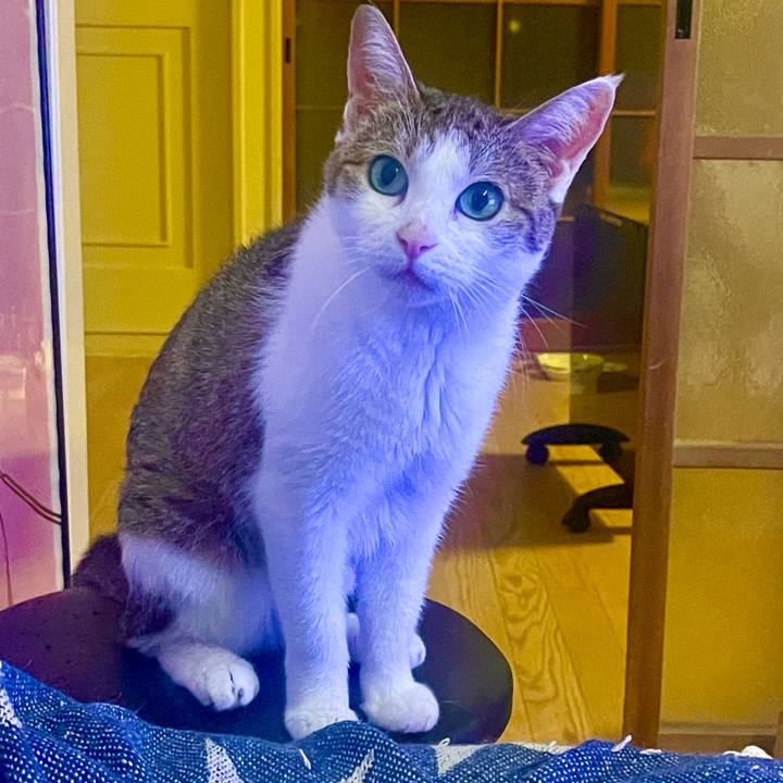 4750a131 84b0 4df3 9bea 6247cd8e7c20 1628761429000