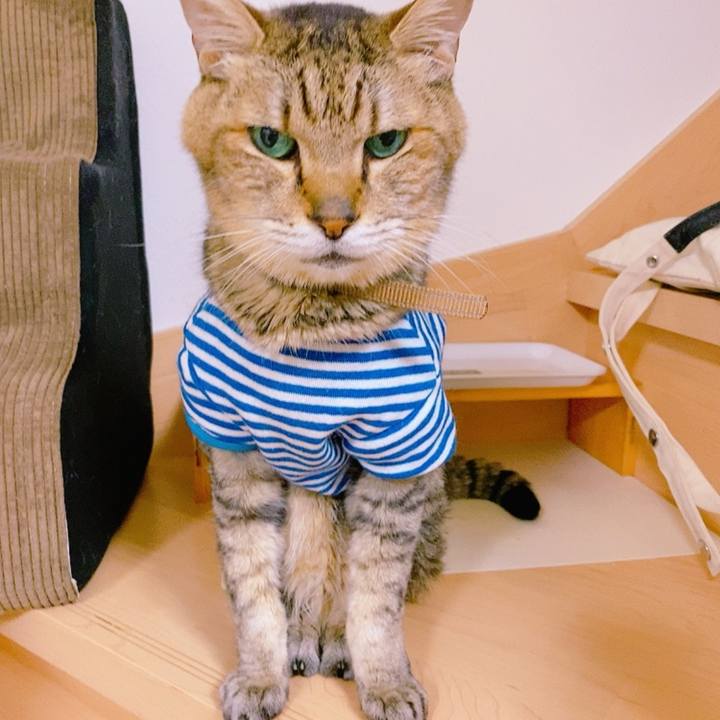 4750b667 1cc3 465c 9b48 5878aaa1e465 1697718818304