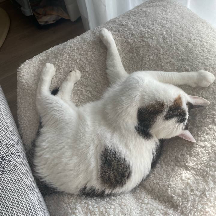 4750c1e1 415e 4e2d 897c 213b0a9bc18d 1771738198569