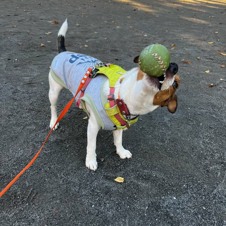 4750cc52 cd84 44f0 96f9 ba6fdc80d24a 1731070730984