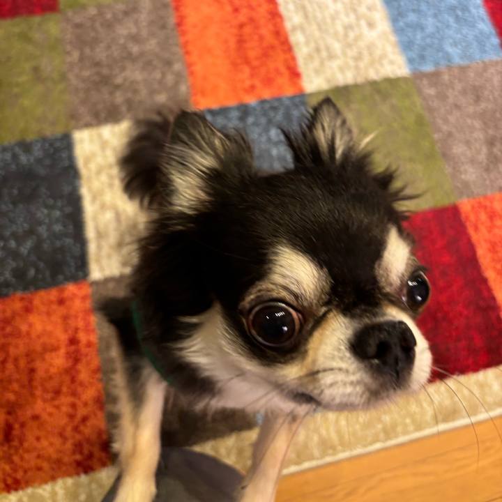 4750ced7 1724 4904 8d52 5cde0e162e10 1752336641481