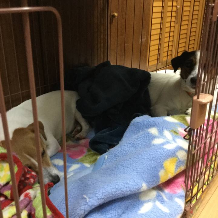 4750d787 6400 4167 9fbf c1031e29aff2 1543488780281