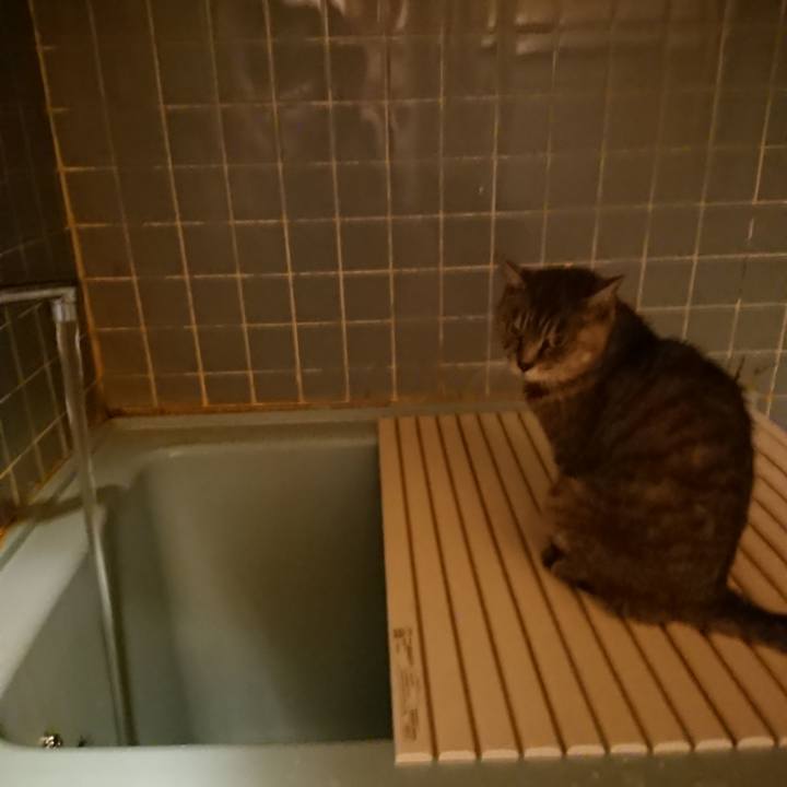 4751021d c42d 4fe9 81ad 34959e253789 1571823825085