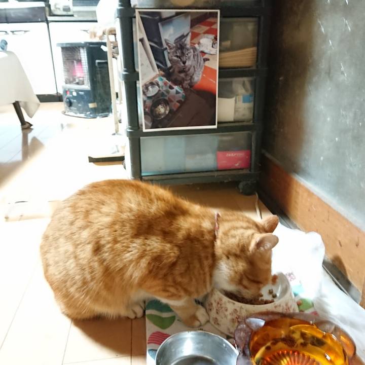 47513074 8fde 4c1e 853b ab54bb67c3f7 1604001021025