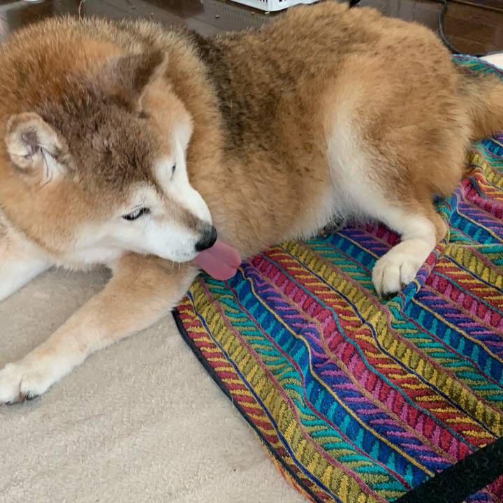 47513343 a69e 43c8 9d18 4924f971154c 1590288541960