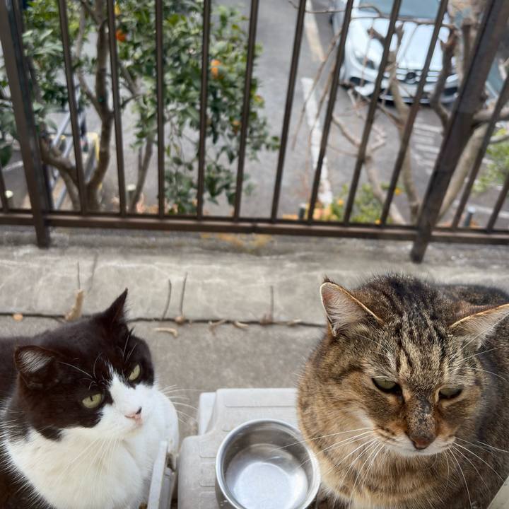 47515391 bd92 49c3 a0a0 90cf4c062178 1772238028777