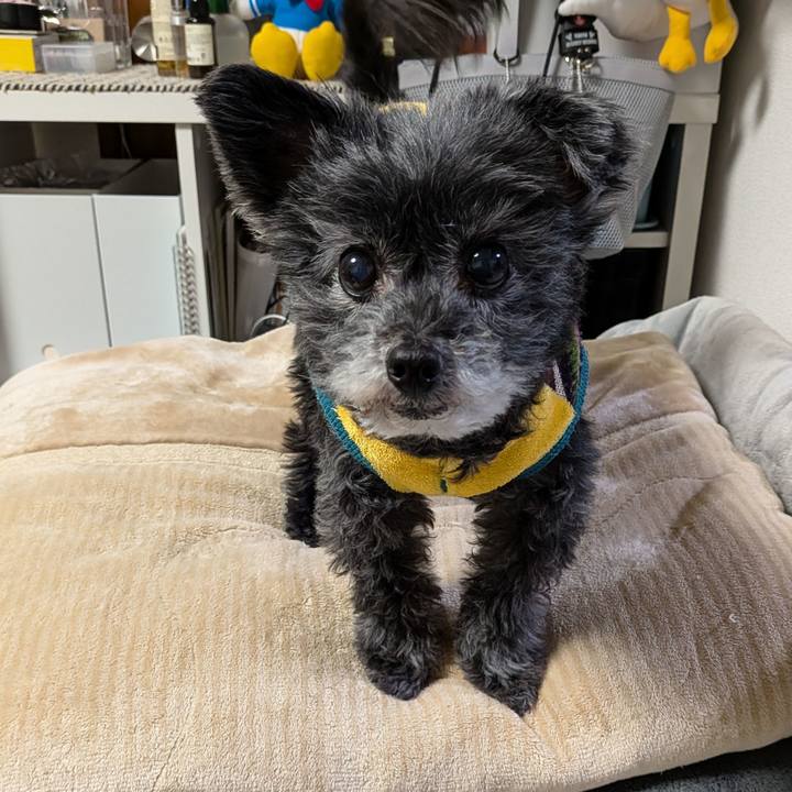 475166ee 57e4 40a8 a155 6b1f73af5a84 1773832455783