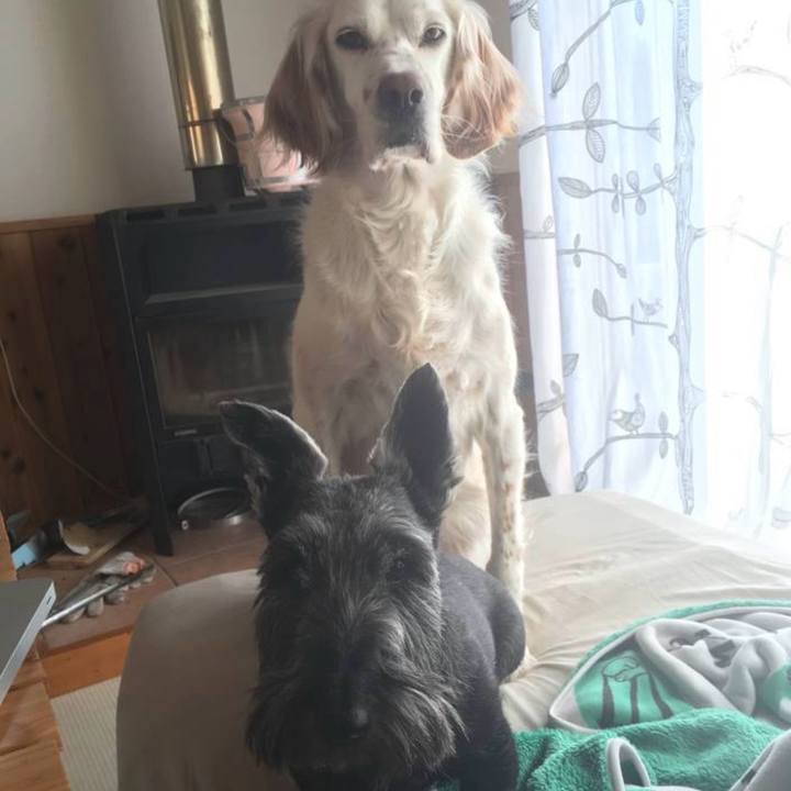 47517049 643c 4c31 8a27 7310b3a3ba97 1769391503390