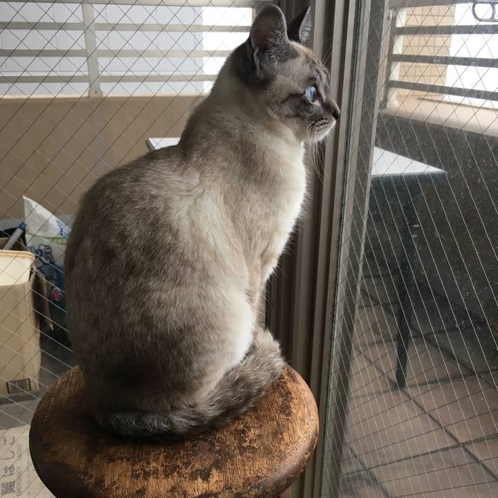 475177ce 5fa6 465f b277 009c1150ba4e 1553154177946