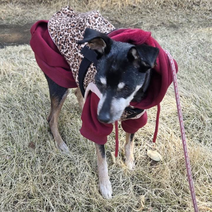 47517ed9 20c0 41e7 a603 7b9beb14c600 1773275069771