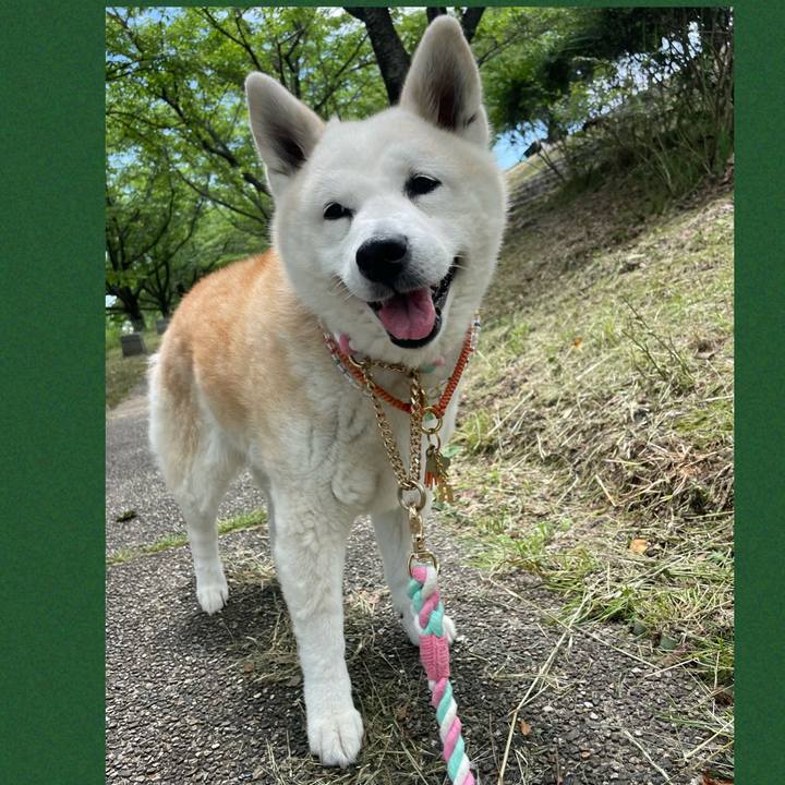 4751f5ab d901 4e0c 96a8 77253b5d87f8 1685882785243