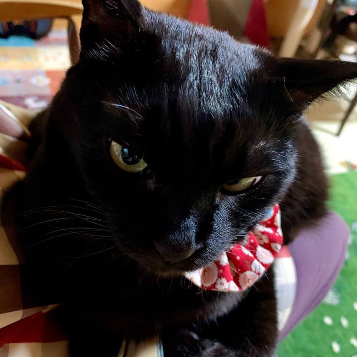 47527625 b4d1 4aa3 97f9 e4662f9ff8b0 1614423467877