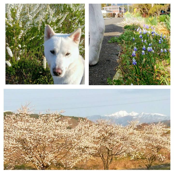 4752f620 f9df 4ed9 9de7 a84987fbf750 1555377201320