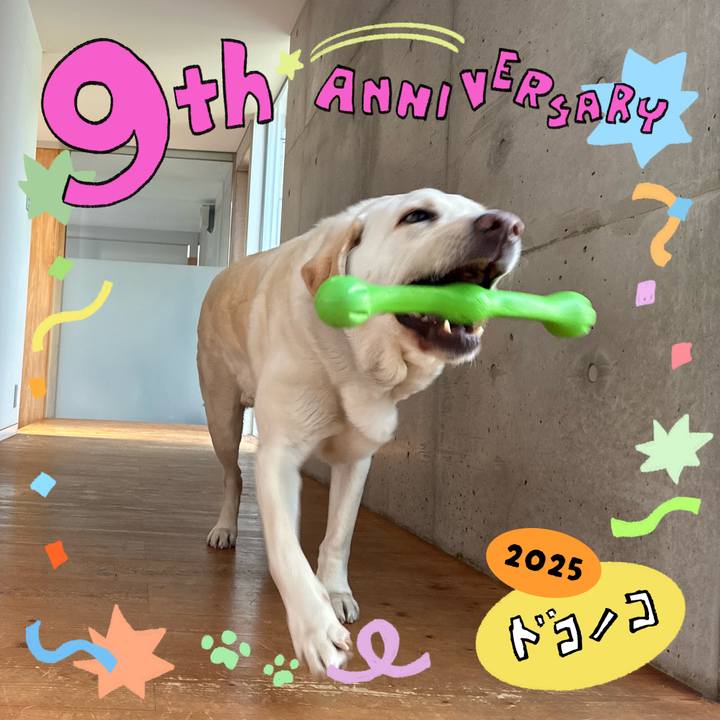 475347b0 9618 4d08 9874 1110b93d73a5 1749089731222