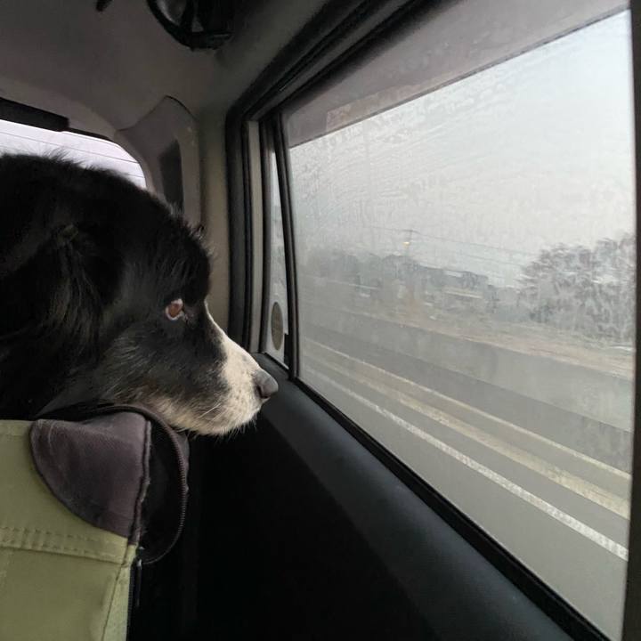 4753764f 7110 4b53 b19f 7c005fa19f47 1643753407773