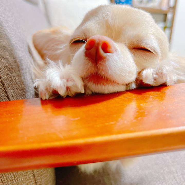 4753a8af 6ec8 4bd7 b8f6 59d66ed37a30 1648716966636