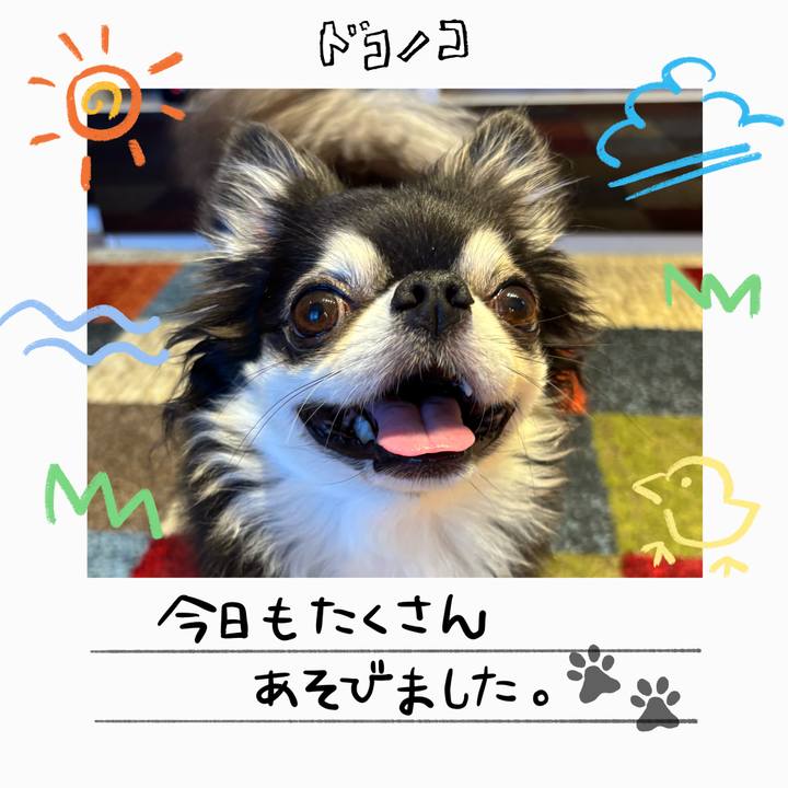 4753ae4e 1735 4088 8aa7 163ee5c72ca7 1755276650647