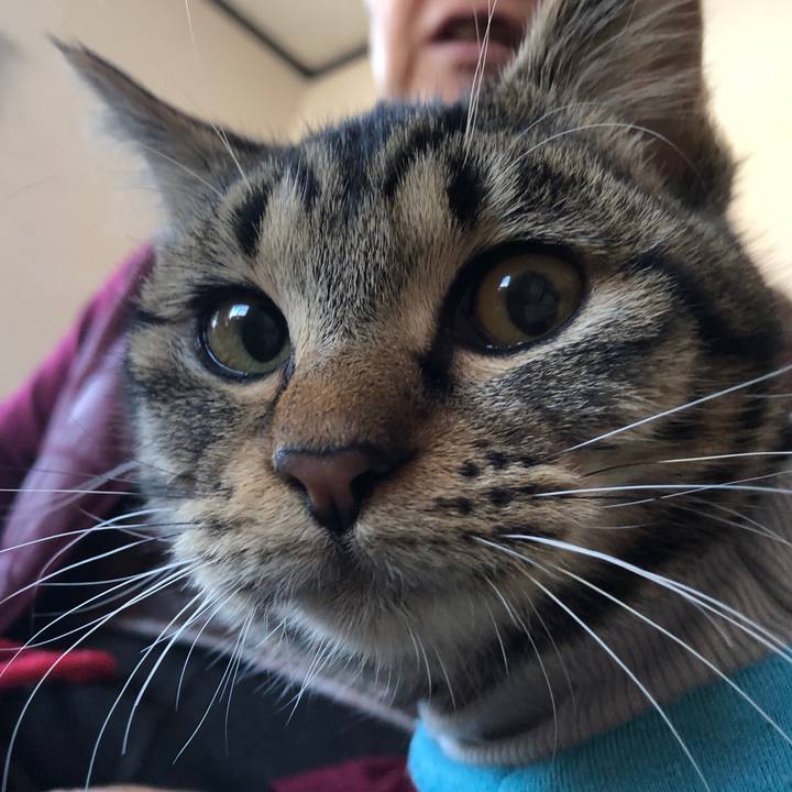 4753d5f2 366d 4c16 a48c 65c7973275fa 1737769760110