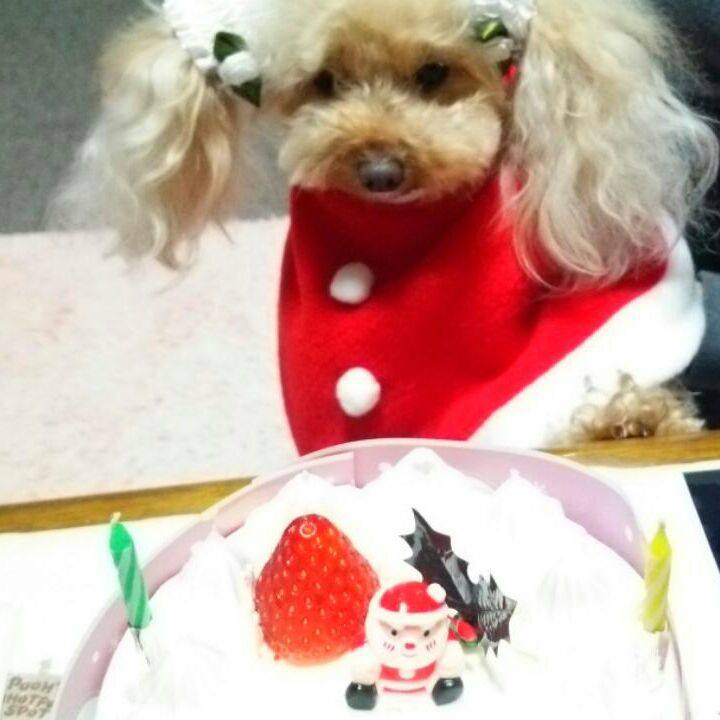 4753f5eb cd92 4b1a bebe 2b934c665415 1545995579593