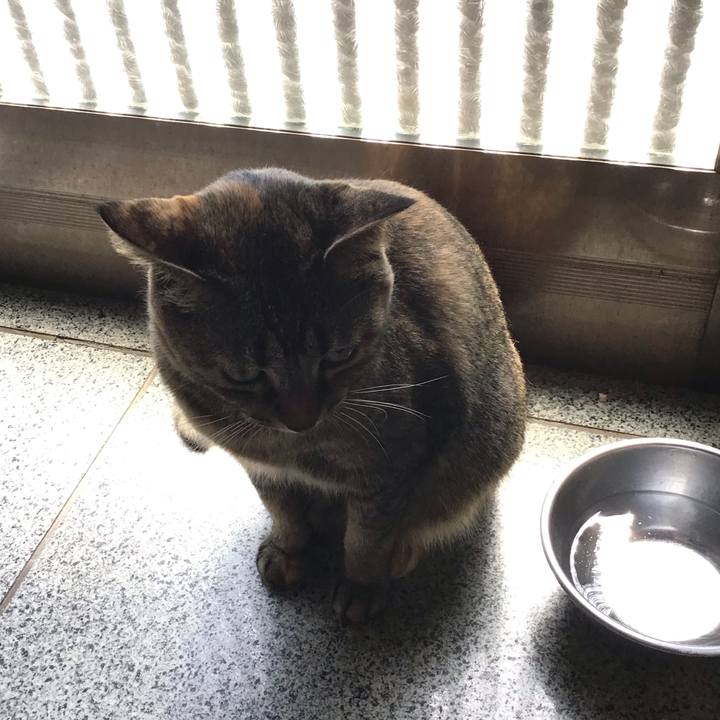 47540c59 618b 48de a572 c7fea3c7e071 1681978287168